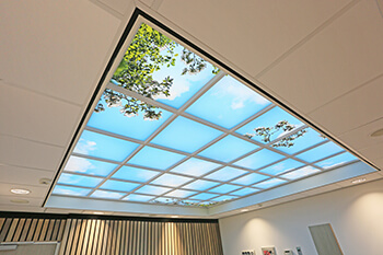 Virtual Skylight celing brings daylight inside.